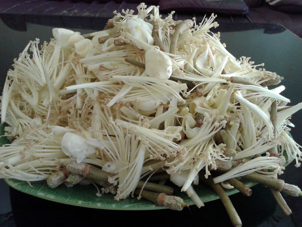 Tumis Kembang Duren….Resep Kuliner Tradisional – Rumah NUGGET